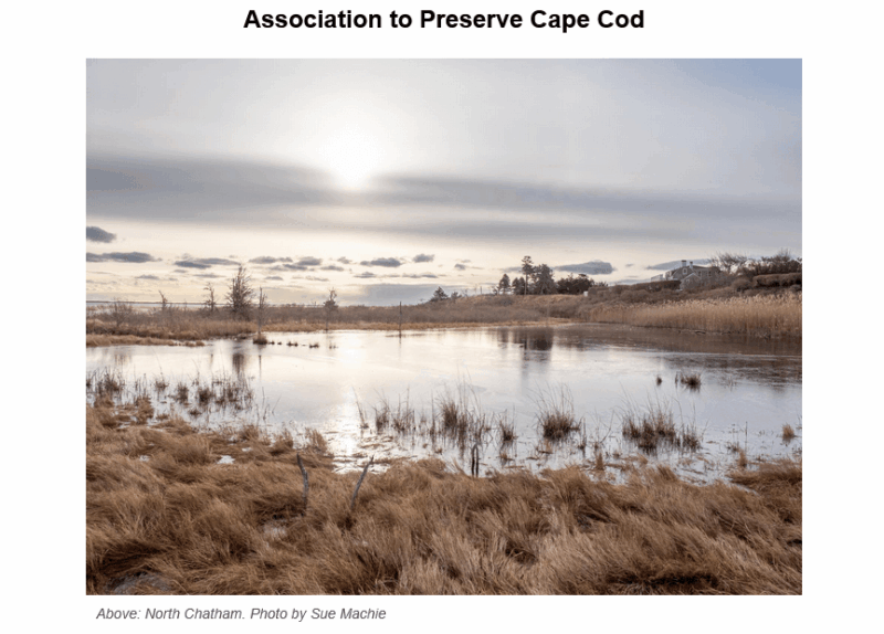 Tranquil marsh landscape in North Chatham with golden grasses bordering a reflective pond, bare winter trees, and waterfront homes under an overcast sky at dusk