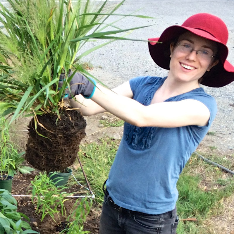 Meadow Circle Installation