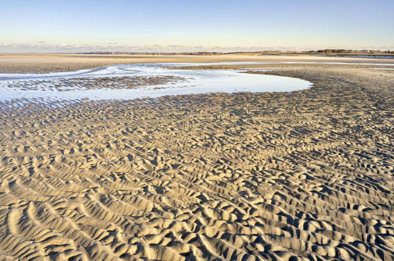 cold-storage-beach-jan-7-2026-enews