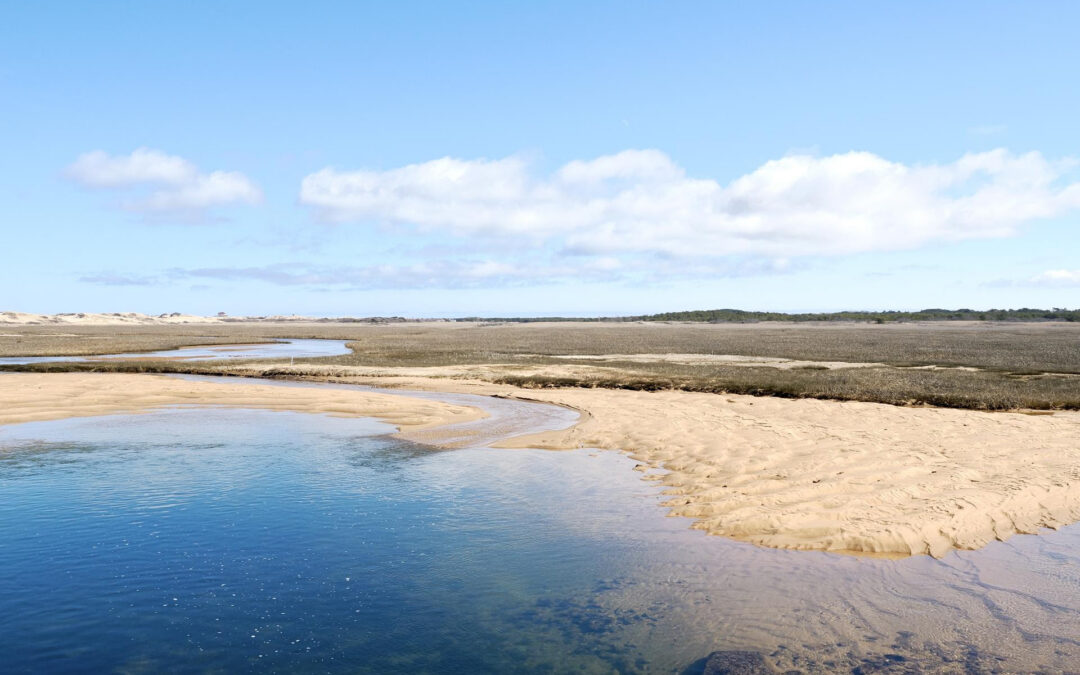 apcc-enews-march-25-2026