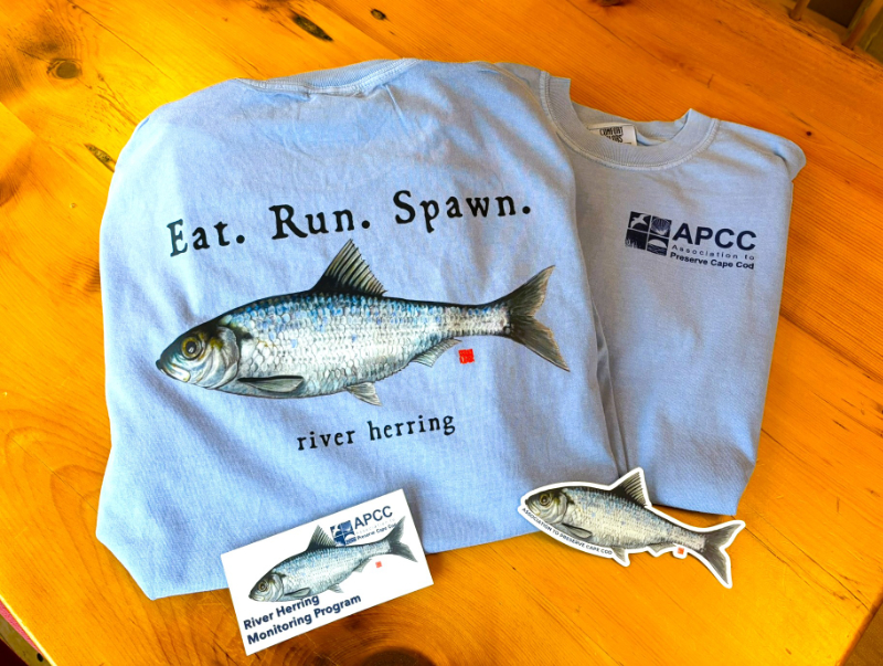 Herring T-Shirt