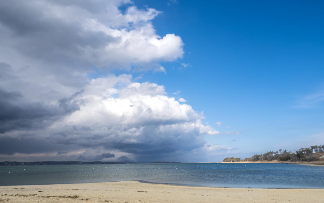 apcc-enewsletter-april-15-2026