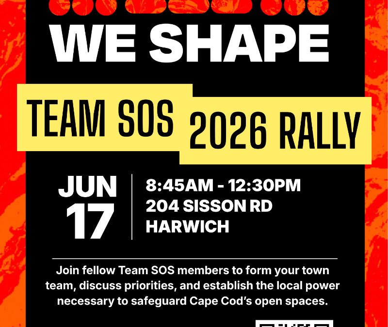 The Cape We Shape Rally