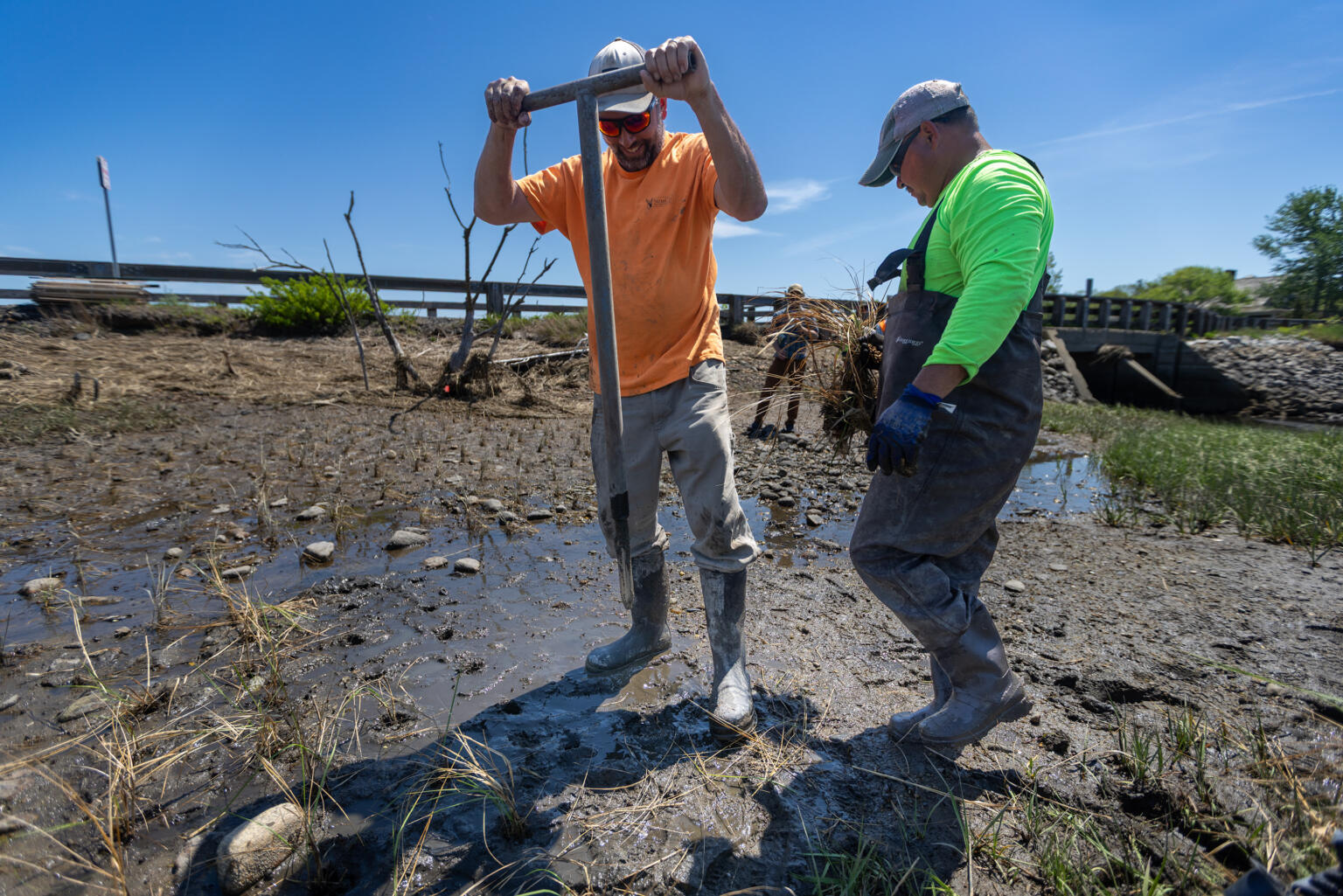 WBUR: The race to save a Cape Cod salt marsh from sea-level rise