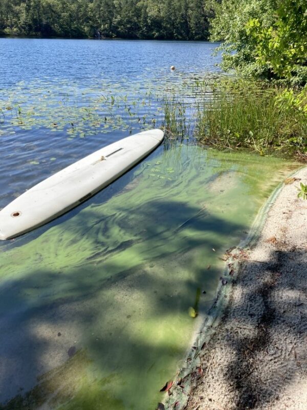 #1 spilled paint